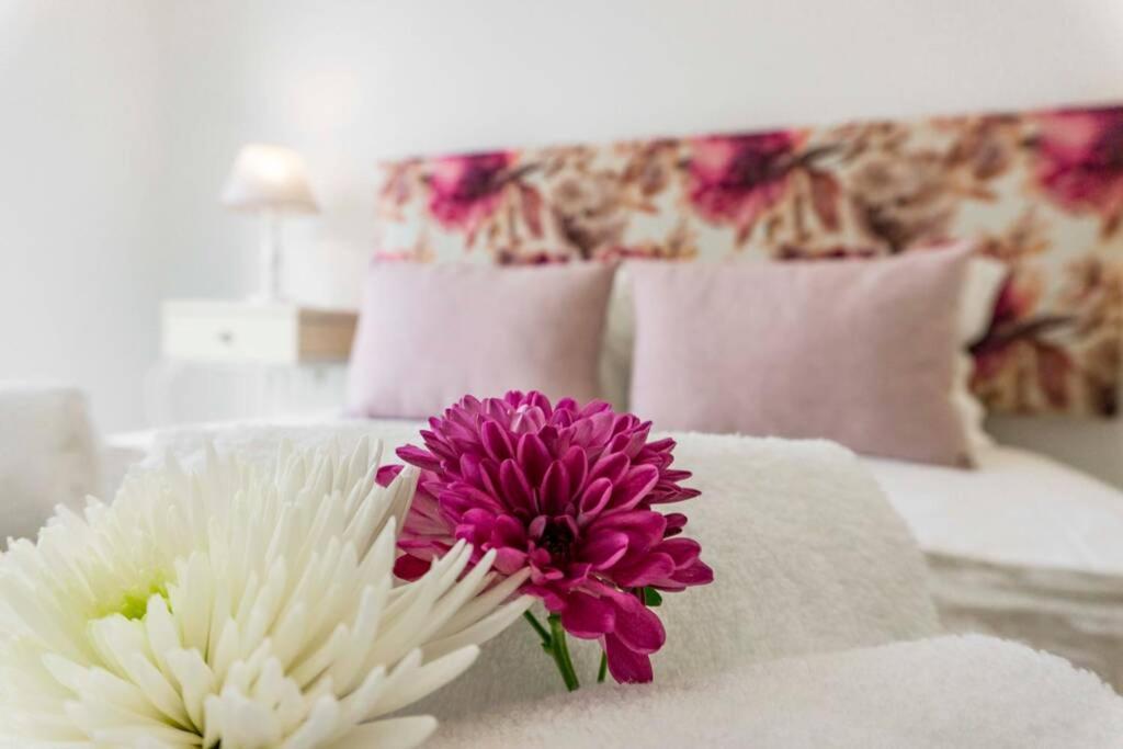 Lalitana Center Apartment Lagos Zewnętrze zdjęcie